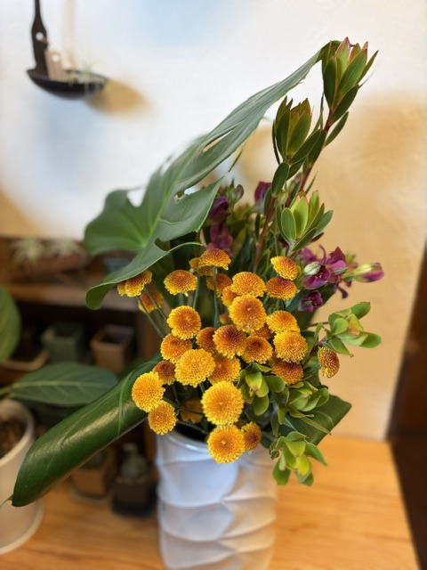 今週のお花