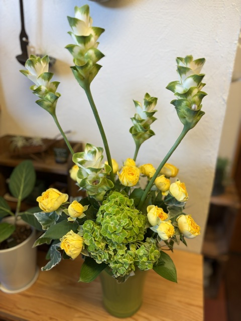 今週のお花
