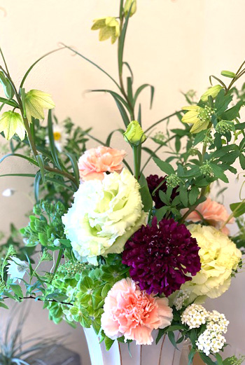 今週のお花 今週のお花