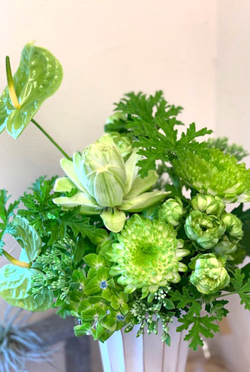 今週のお花 今週のお花